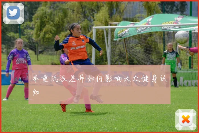 举重流派差异如何影响大众健身认知