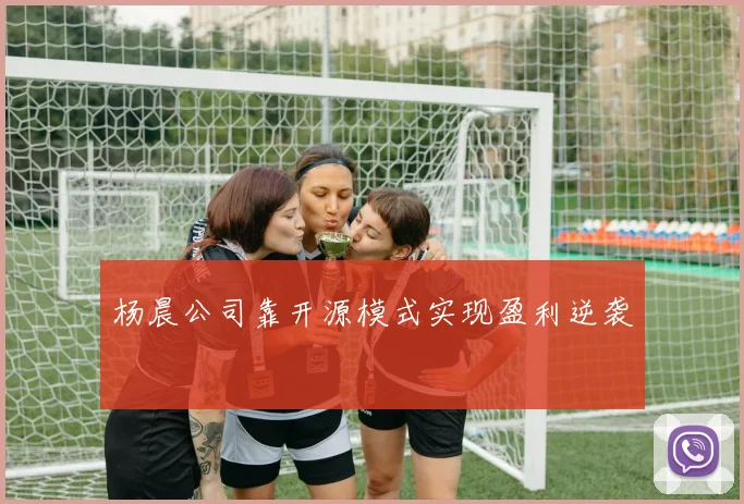 杨晨公司靠开源模式实现盈利逆袭