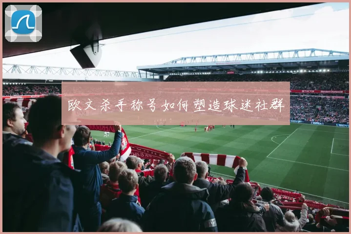 欧文杀手称号如何塑造球迷社群