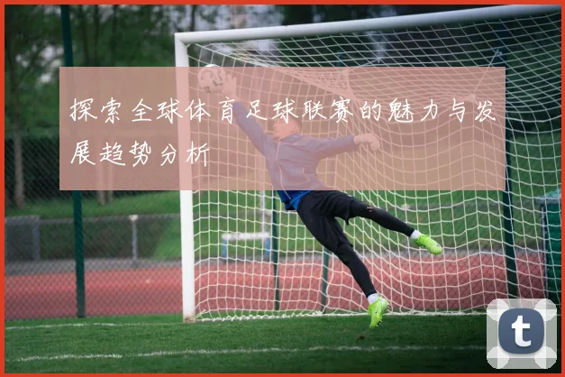 探索全球体育足球联赛的魅力与发展趋势分析