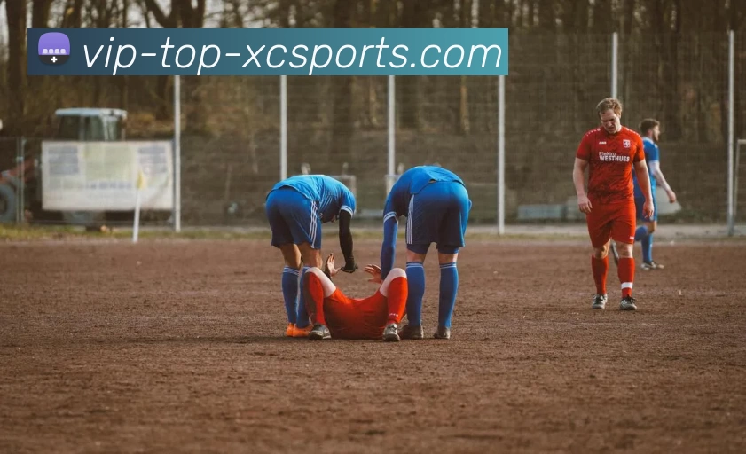 杏彩APP 高清赛事图